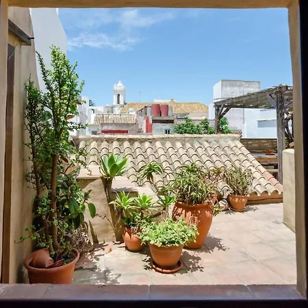 Casa Luna 5h 5b 2 Private Rooftops * تريفة